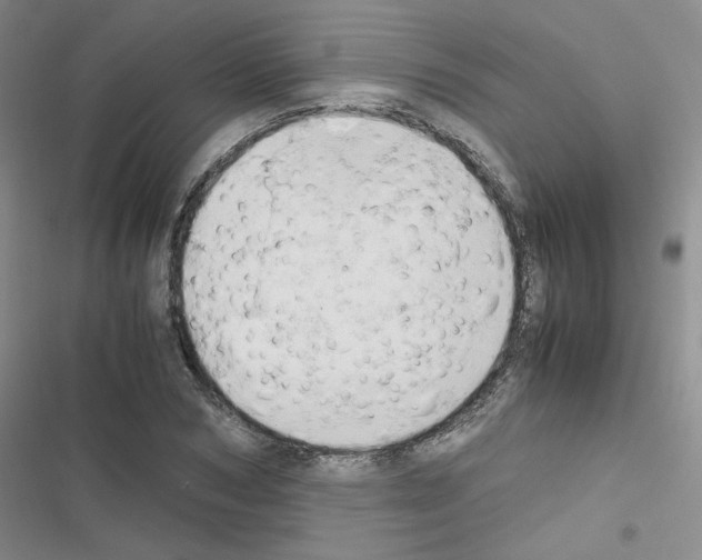 X0000116660978201001251214