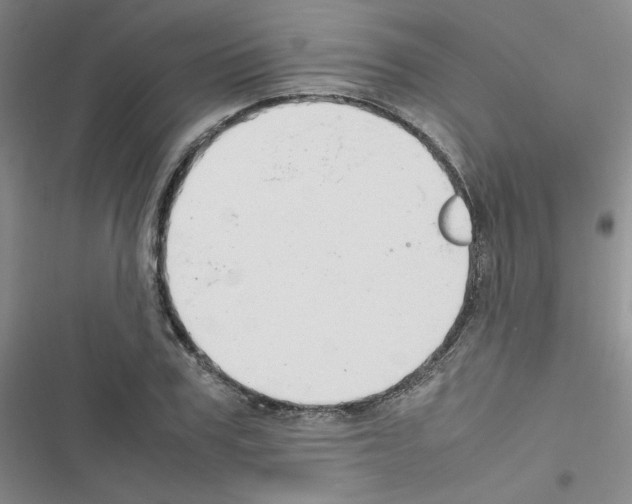 X0000116660979201001251214