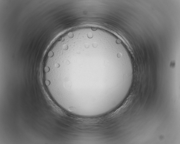 X0000116660984201001251214