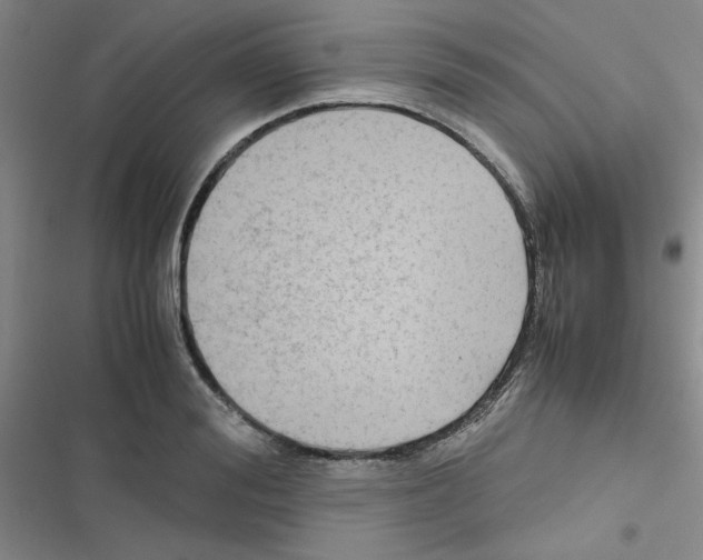 X0000116660988201001251214