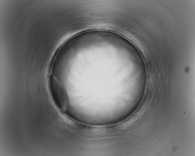 X0000116660989201001251214