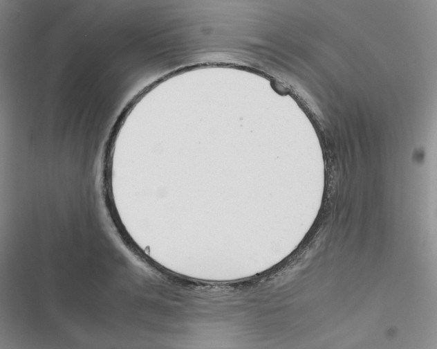 X0000116660991201001251214