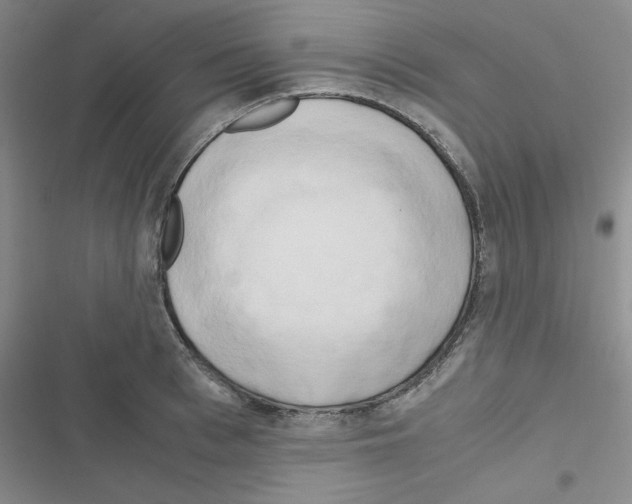 X0000116660993201001251214