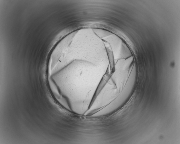X0000116660994201001251214