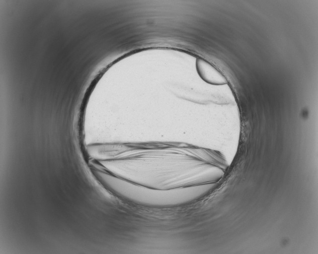 X0000116660995201001251214