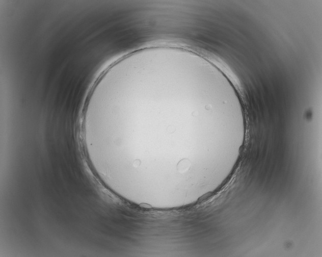 X0000116660996201001251214