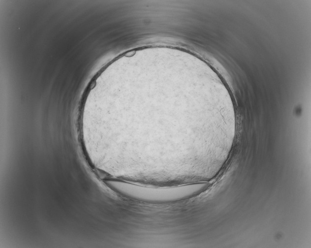 X0000116660997201001251214