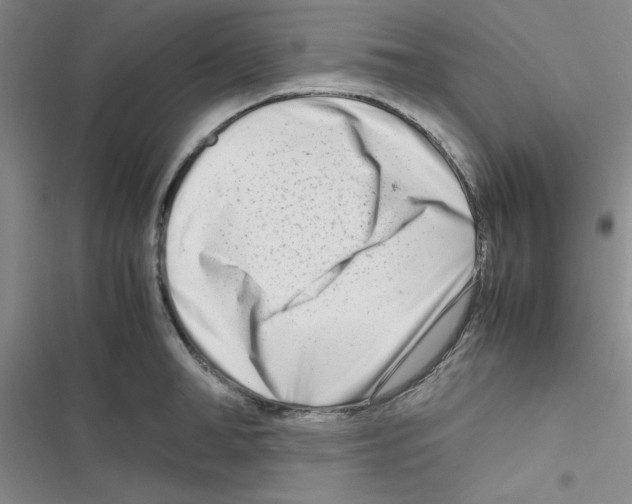 X0000116660998201001251214