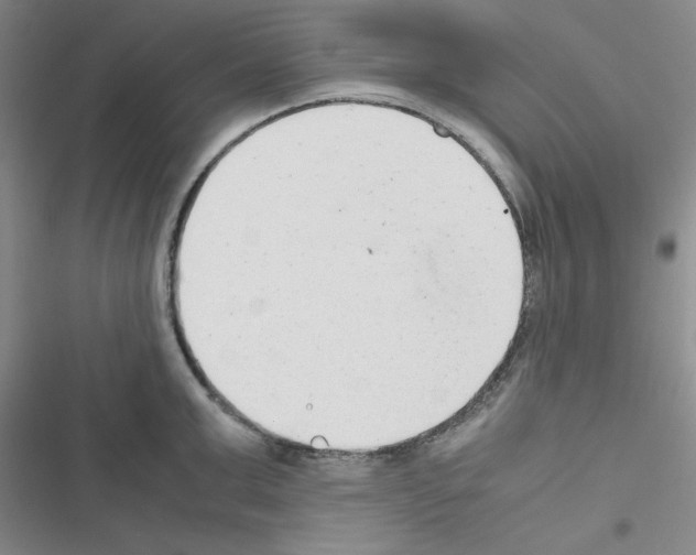X0000116660999201001251214