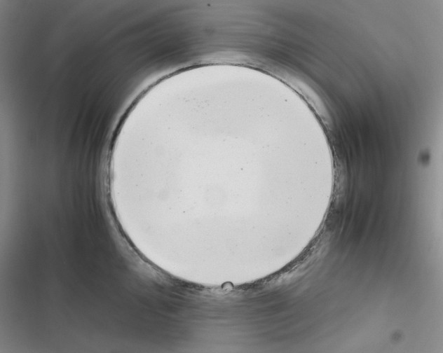 X0000116661000201001251214