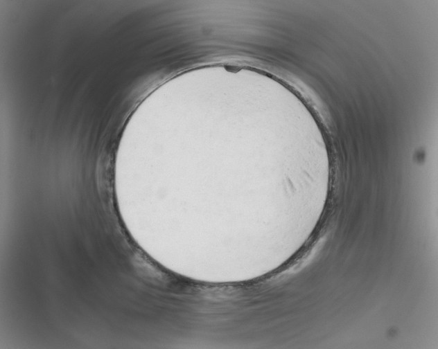 X0000116661001201001251214