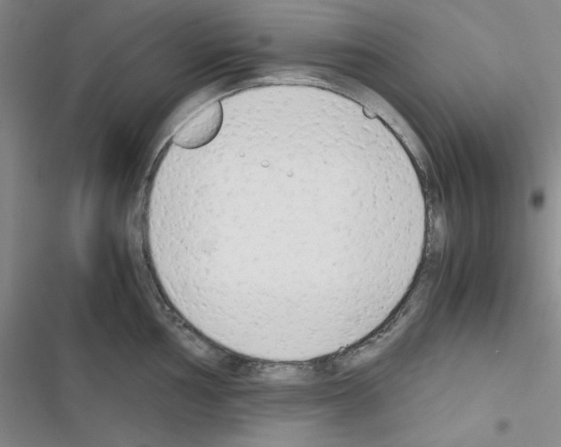 X0000116661002201001251214