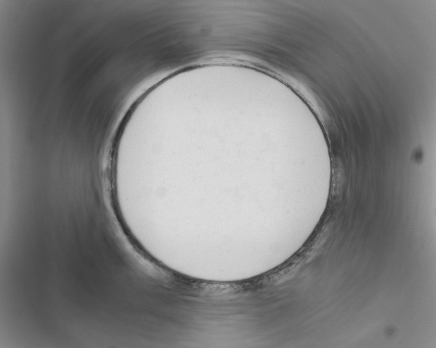 X0000116661003201001251214