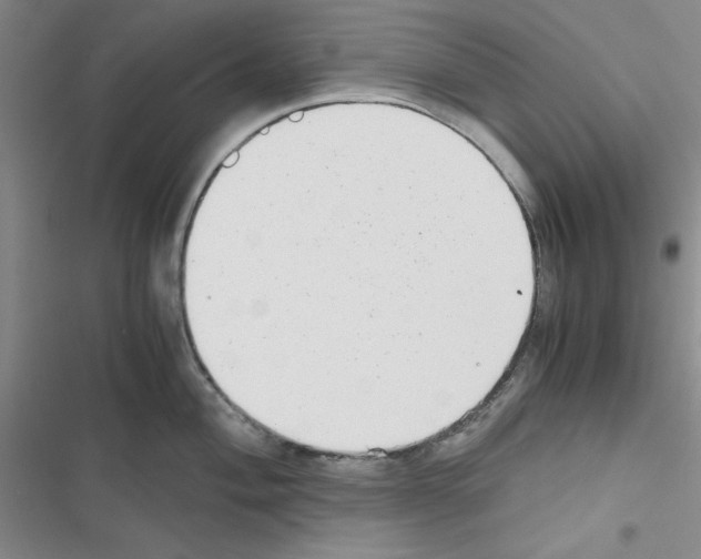 X0000116661004201001251214
