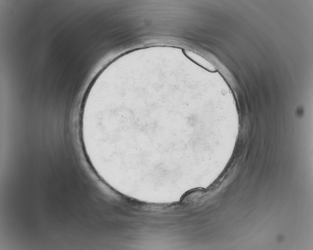 X0000116661005201001251214