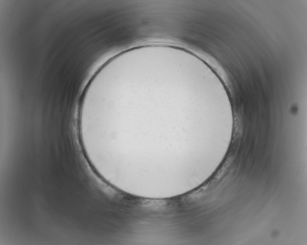 X0000116661006201001251214