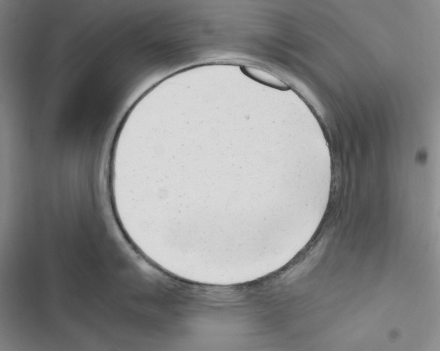 X0000116661007201001251214