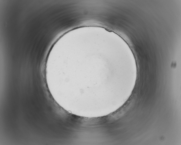 X0000116661008201001251214
