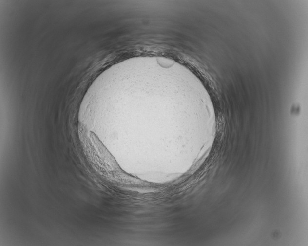 X0000116661009201001251213