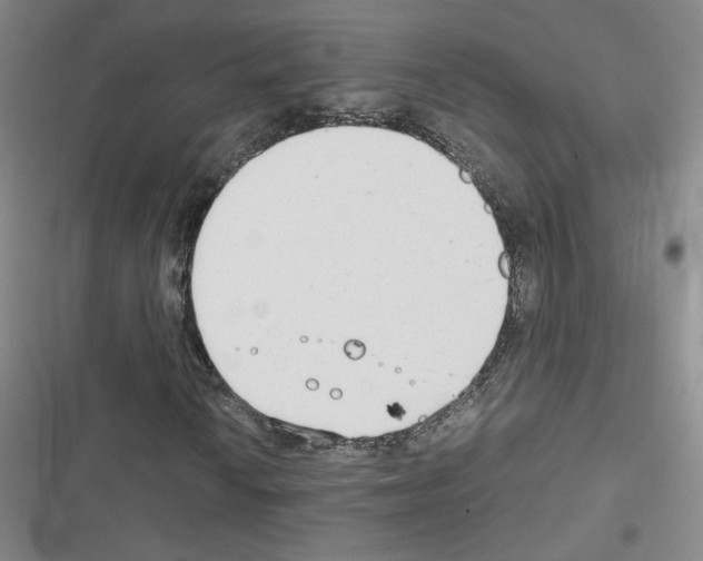 X0000116661010201001251213