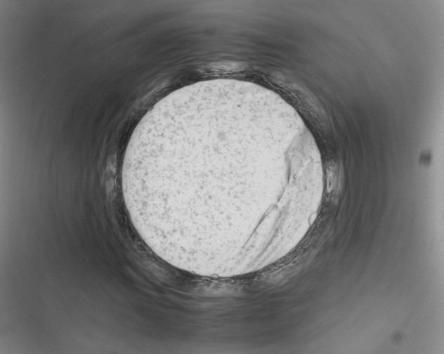 X0000116661011201001251213