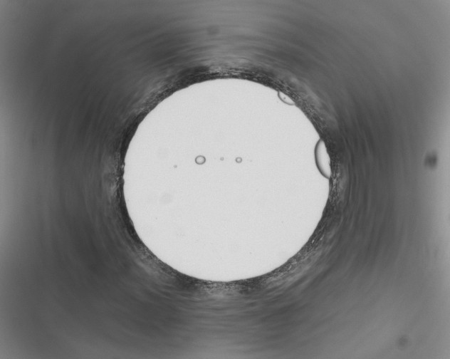 X0000116661012201001251213