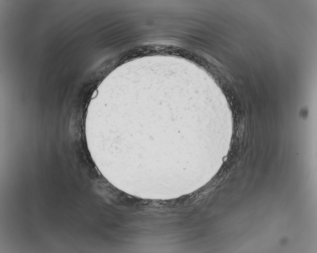 X0000116661014201001251213
