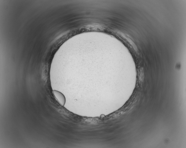 X0000116661015201001251213