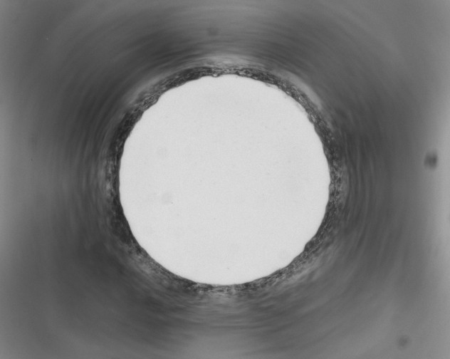 X0000116661016201001251213