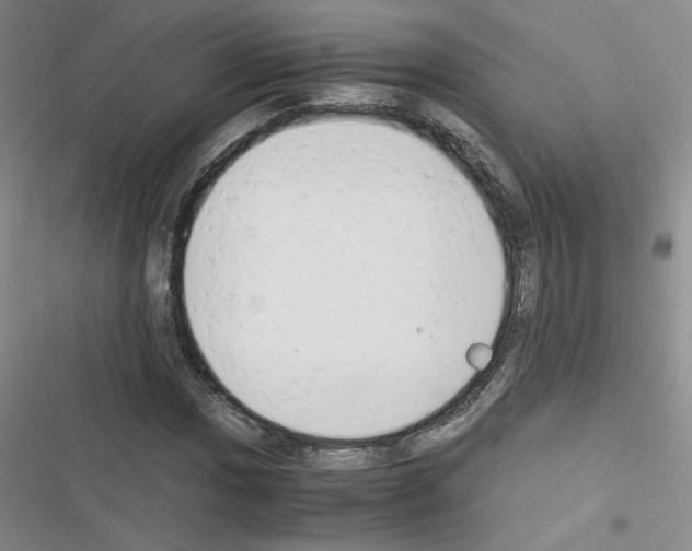 X0000116661017201001251213
