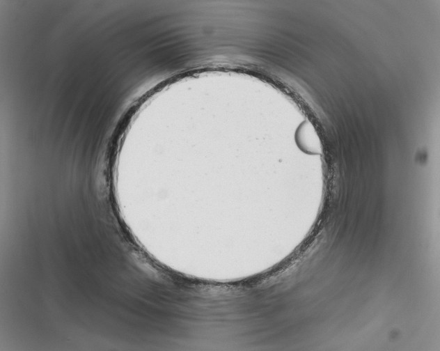 X0000116661018201001251213