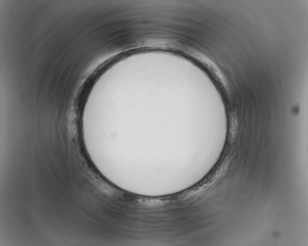 X0000116661019201001251213
