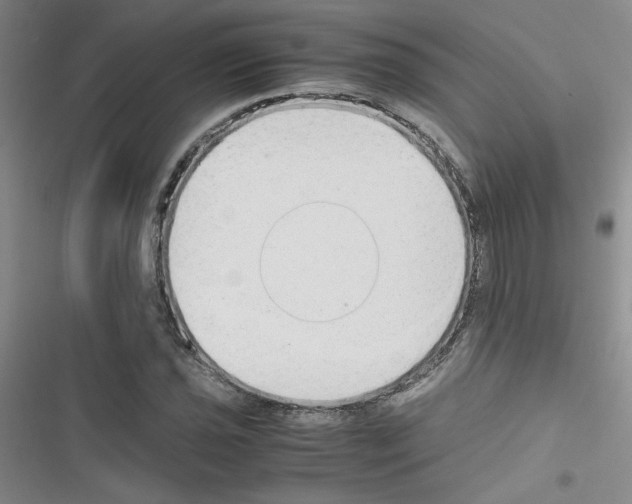 X0000116661021201001251213