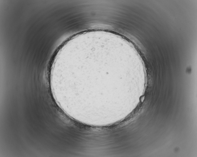 X0000116661022201001251213