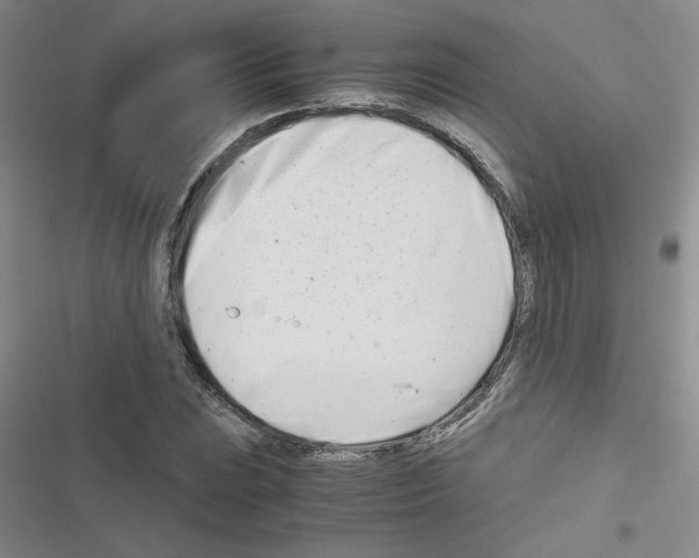 X0000116661023201001251213