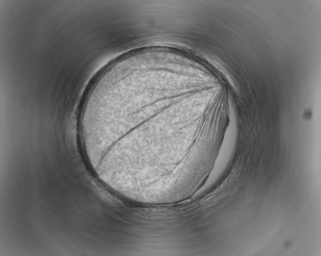X0000116661024201001251213