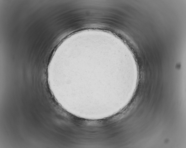 X0000116661025201001251213