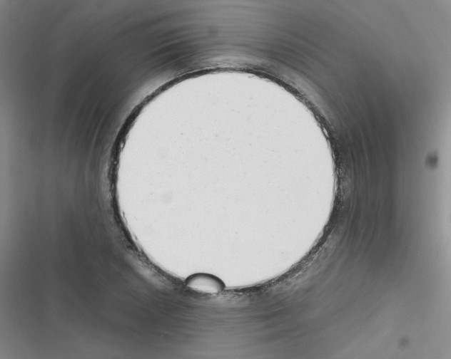 X0000116661026201001251213