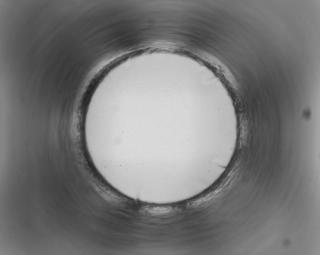 X0000116661027201001251213