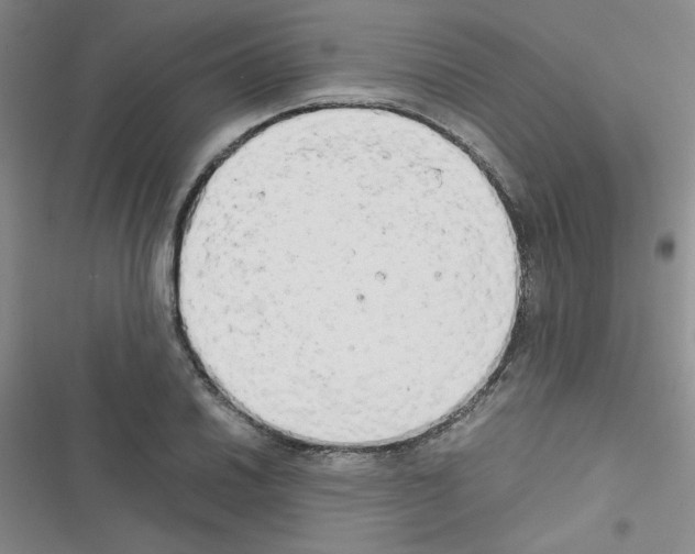 X0000116661030201001251213