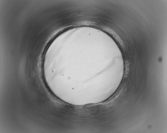 X0000116661031201001251213