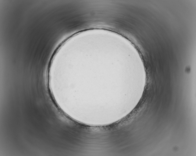 X0000116661032201001251213
