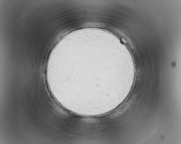 X0000116661033201001251213