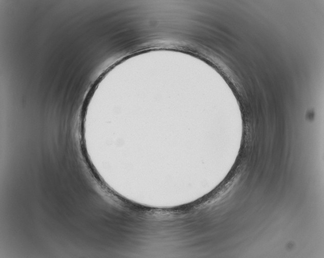 X0000116661034201001251213