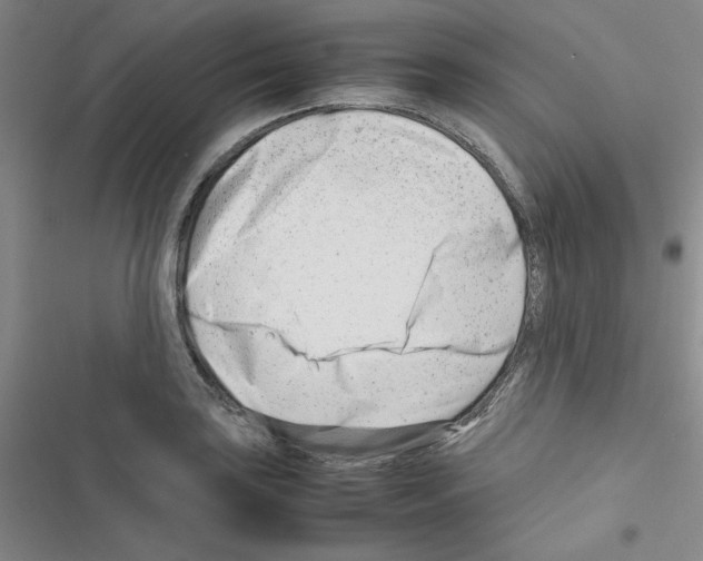 X0000116661035201001251213