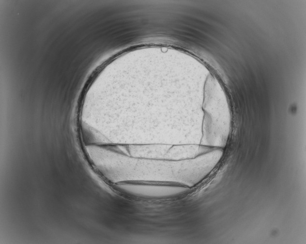 X0000116661037201001251213