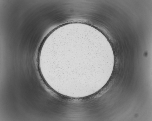 X0000116661038201001251213