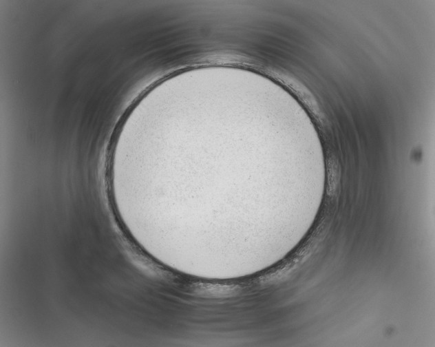 X0000116661039201001251213