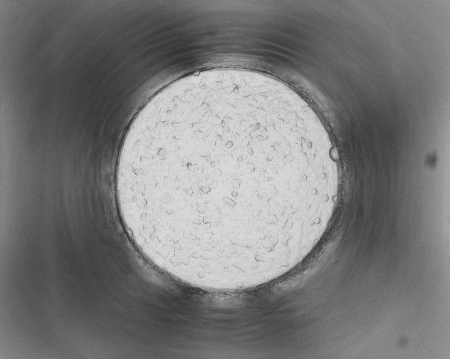 X0000116661041201001251213