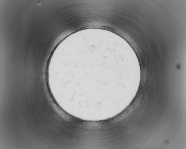 X0000116661042201001251213